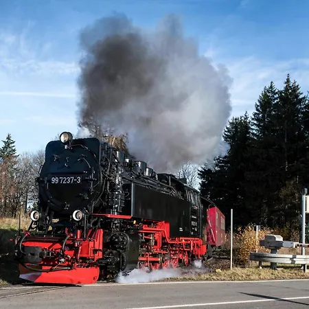 דירה Haus Harzzauber - Elegantes Ferienquartier In Der Altstadt Mit Terrasse, Kamin Und E-bikes Fuer Perfekte Auszeit *